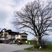 Vor dem Hotel Hochfuchs zweigt der unmarkierte Weg nach Eugendorf nach rechts ab.
