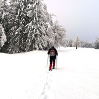 Im Schnee auf die Packeralpe