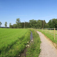 Unterwegs in offener Feldflur.