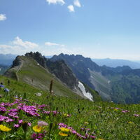 in der Wiese einmal kurz abrasten und genießen
