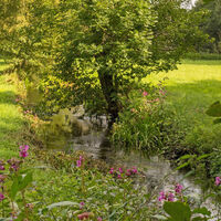 Der Nebenfluss Fintau schlängelt sich durch eine grüne Wiese