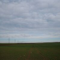 Fels - Absdorf