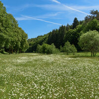Naturschutzgebiet Rosbachtal