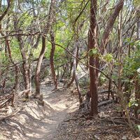 Macchia-Trail