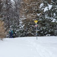 6.7 km Gelben Wegweiser links nach Prigglitz folgen