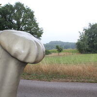 Dino-Tour