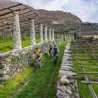 Carema und seine Weinberge