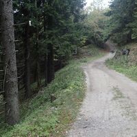 Abstieg Hinteralm zum Muckenkogel