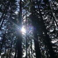 Hoher Gallin Weg