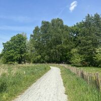 4-Weg-Luhpad-Bispingen-ccbysa-foto©bispingen-touristik-min.jpeg