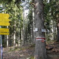 Wegkreuzung östl. der Speckbacher Hütte