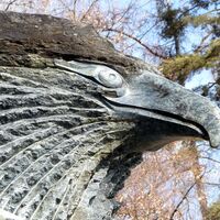 Der Steinadler von Hans Weyringer hat den gegenüberliegenden Bahnhof Zell am See im Visier.