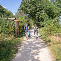 Hirtzfelden - Fahrrad