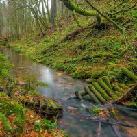 Romantisches Waschtal