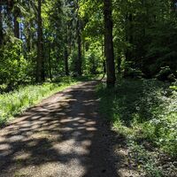 Egelsee Waldweg