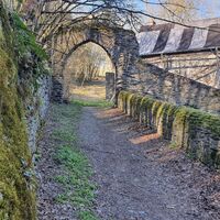 Burg Waldeck
