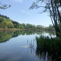 Bassgeigensee