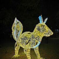 Lichterzauber in Hann. Münden, Eichhörnchen in den Wallanlagen