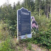 Steinadler