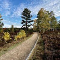 Wandern im Herbst