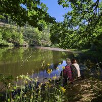 Rast am Weidelbacher Weiher
