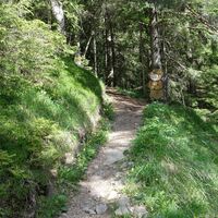 Aufstieg Bürgeralpe