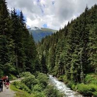 Die Wanderung führt immer auf einem breiten Fahrweg.