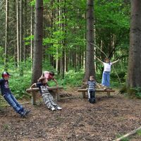 Waldlehrpfad-Station1-Murtal-Steiermark