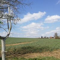 Zwischen Teichleite und Eichleite