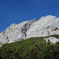 unterhalb dem Brandstein auf der Brandwiese