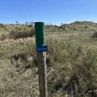 infopfad und naturlehrpfad am kalfamer (18).jpeg