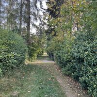 Und hier weiter auf der Trasse, zwischen Hintergärten durch
