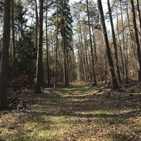 Zwischen Mönchskopf und Sonnenkopf