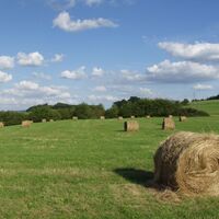 Landschaft bei Mainzweiler im Landkreis Neunkirchen