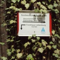 Möglicher Abstecher Wanderweg 7 zum Burgberg Liebenburg