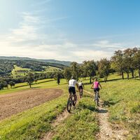 Wiental-Elsbeere-Genuss-Tour _ MTB Trekking durch den westlichen Wienerwald
