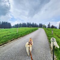 Wanderung Oberwarngau Taubenberg