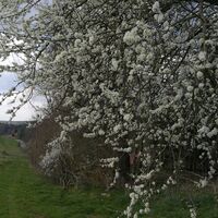 Von Breitenhain zum Wasserschloss Wolfersdorf