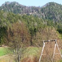 Blick zum Wasserstein