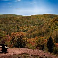 Steinach im Thüringer Wald
