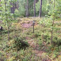 Vilkaharju-Naturpfad Steinzeitliche Wohnstätte