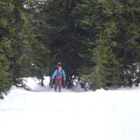 Kragelschinken/Plöschkogel