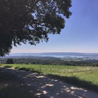 Aussicht am Mühlsberg
