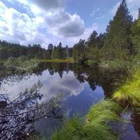 Naturschutzgebiet Blindensee Schönwald-Schonach