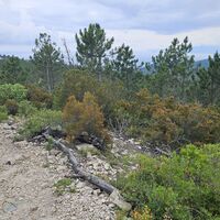 Trail am Bric dei Crovi