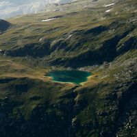 Selvasee