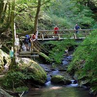 'Ehrbachklamm - Brücke am Apothekerfelsen