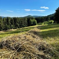 Entlang der Etappe 5