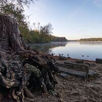 Ufer am Wildförstersee