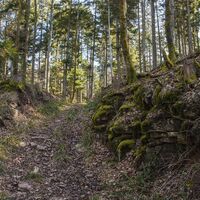Mildersbachtalrundweg